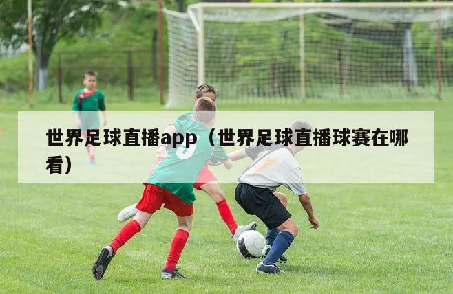 世界足球直播app（世界足球直播球赛在哪看）