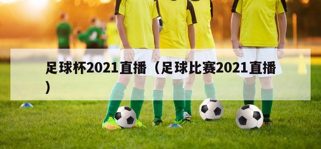 足球杯2021直播（足球比赛2021直播）