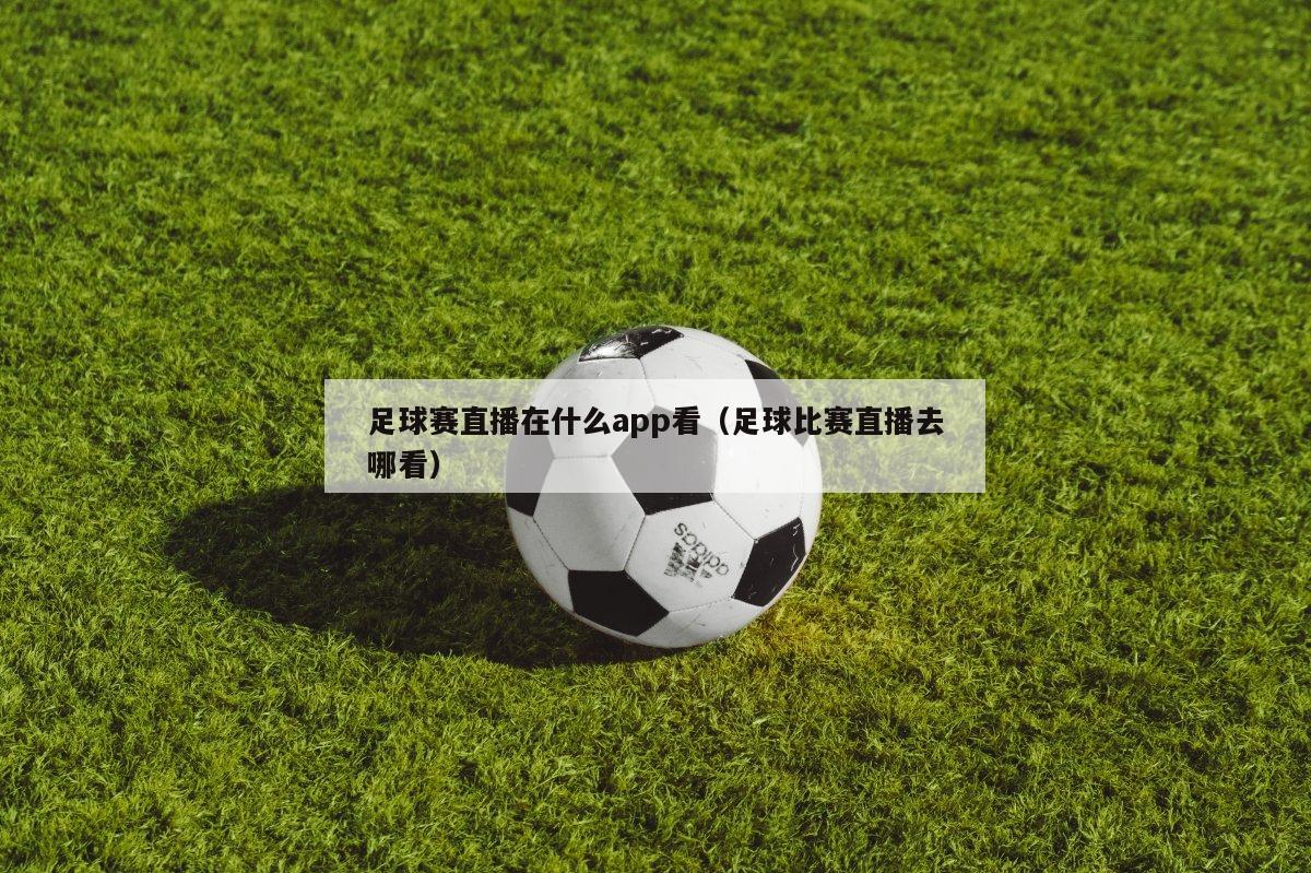 足球赛直播在什么app看（足球比赛直播去哪看）